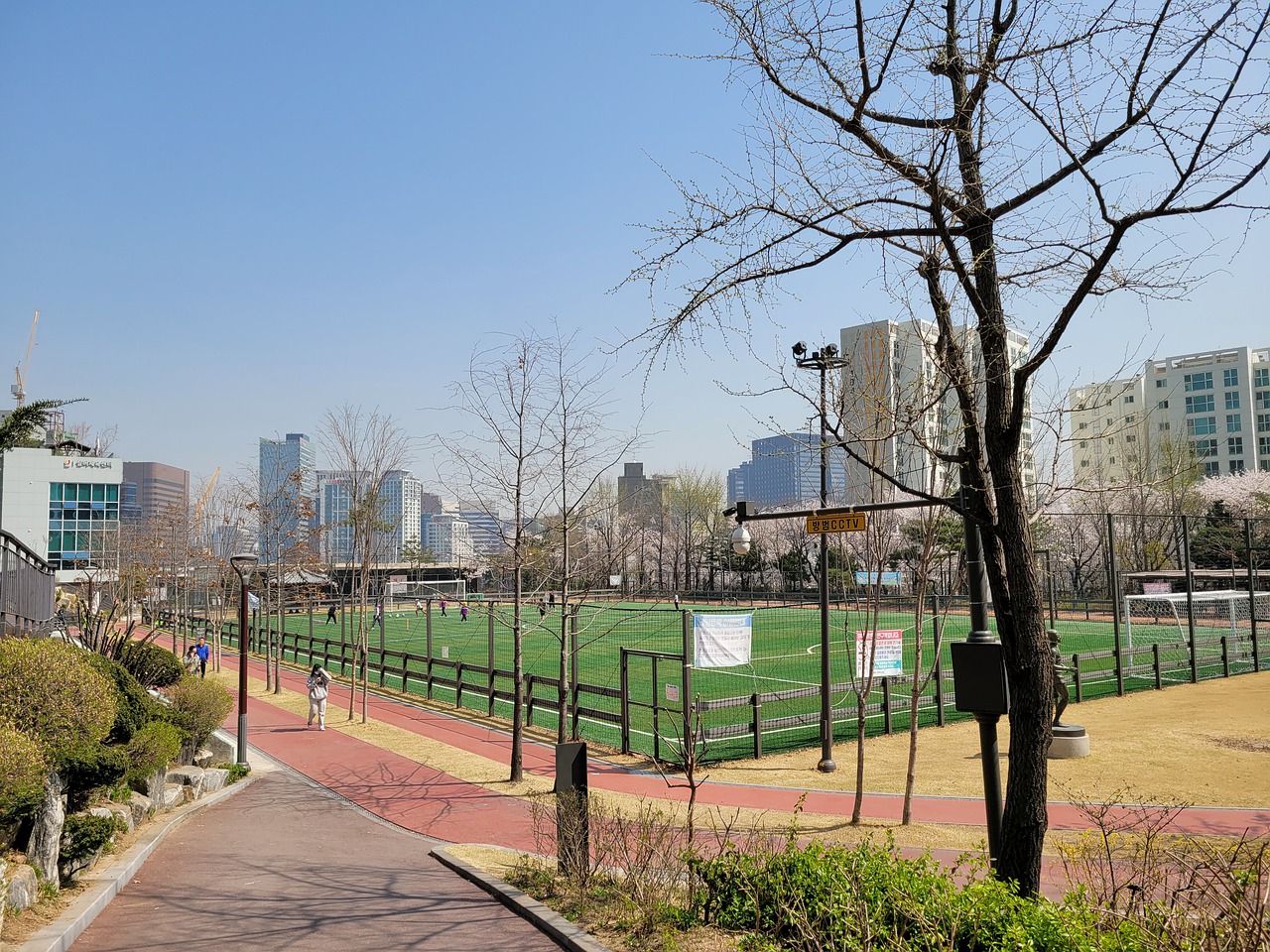 引发了球迷 引发了球迷