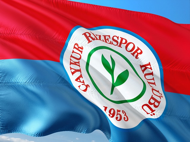 的世界里 的世界里