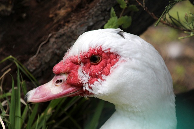 练的指导下 练的指导下