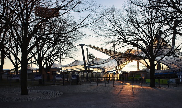 条令达拉斯 条令达拉斯