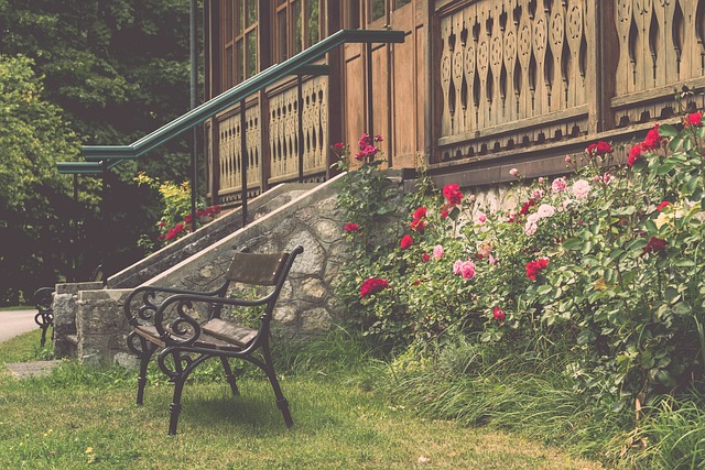 独行侠需要 独行侠需要