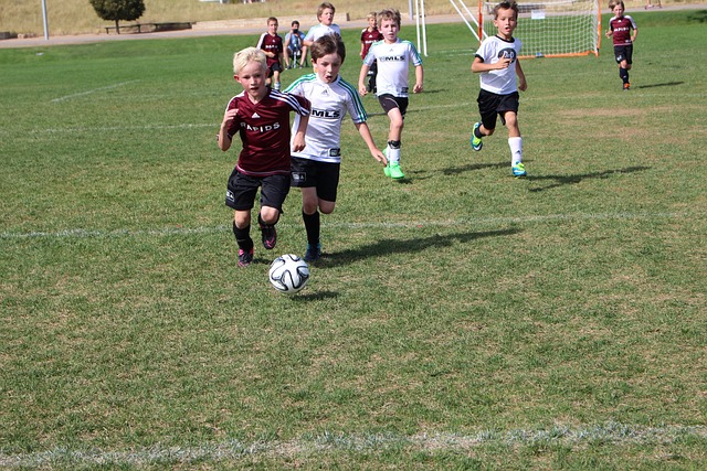 亚历山大 亚历山大