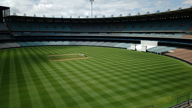 地的人们因 地的人们因